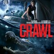 Crawl - Race Day
